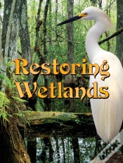 Capa do artigo Restoring Wetlands