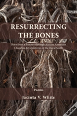 Capa do artigo Resurrecting The Bones