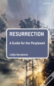 Capa do artigo Resurrection: A Guide For The Perplexed