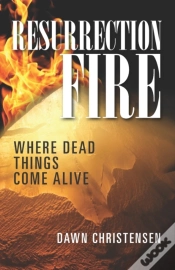 Capa do artigo Resurrection Fire