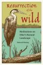 Resurrection Of The Wild - Preview