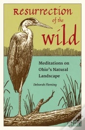 Capa do artigo Resurrection Of The Wild