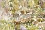 Reta Summers Cowley - Preview