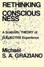 Rethinking Consciousness - Preview