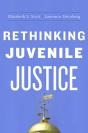 Rethinking Juvenile Justice - Preview