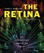 Retina - Preview