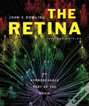 Capa do artigo Retina