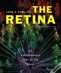 Capa do artigo Retina