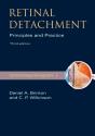 Retinal Detachment - Preview