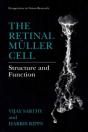 Retinal Muller Cell - Preview