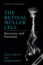 Capa do artigo Retinal Muller Cell