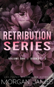 Capa do artigo Retribution Series Box Set 1