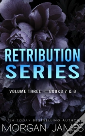 Capa do artigo Retribution Series Box Set 3