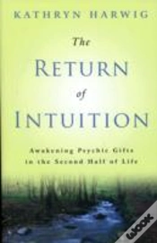 Capa do artigo Return Of Intuition The