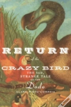 Capa do artigo Return Of The Crazy Bird