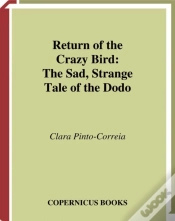 Capa do artigo Return Of The Crazy Bird
