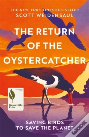 Capa do artigo Return Of The Oystercatcher