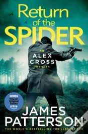 Capa do artigo Return Of The Spider