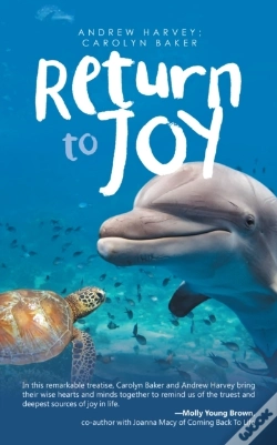 Capa do artigo Return To Joy