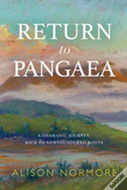 Capa do artigo Return To Pangaea