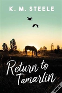 Capa do artigo Return To Tamarlin