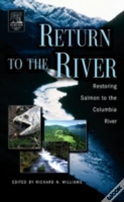 Capa do artigo Return To The River