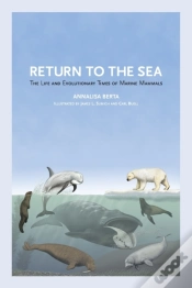 Capa do artigo Return To The Sea