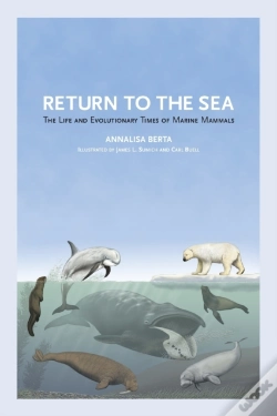 Capa do artigo Return To The Sea