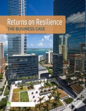 Capa do artigo Returns On Resilience