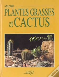 Capa do artigo Reussir Plantes Grasses Et Cactus