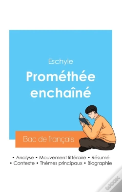 Capa do artigo Reussir Son Bac De Francais 2024 Analyse