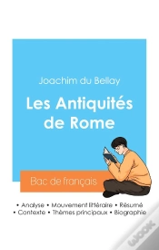 Capa do artigo Reussir Son Bac De Francais 2024 Analyse