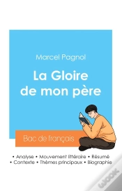 Capa do artigo Reussir Son Bac De Francais 2024 Analyse