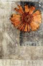 Reveilles - Preview
