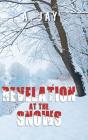Revelation At The Snows - Preview