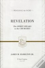 Capa do artigo Revelation
