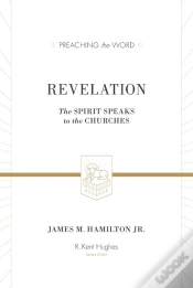 Capa do artigo Revelation