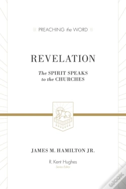 Capa do artigo Revelation