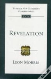 Capa do artigo Revelation