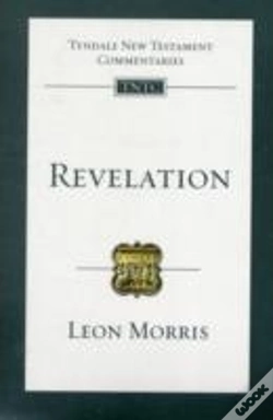 Capa do artigo Revelation