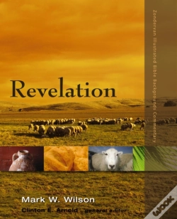 Capa do artigo Revelation