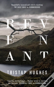 Capa do artigo Revenant