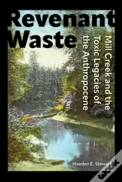 Capa do artigo Revenant Waste