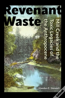 Capa do artigo Revenant Waste