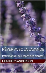 Capa do artigo Rêver Avec La Lavande
