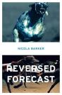 Reversed Forecast - Preview
