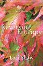 Reversing Entropy - Preview