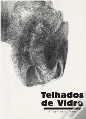 Capa do artigo Revista Telhados de Vidro N.º 10