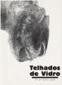 Revista Telhados de Vidro N.º 10 - Preview