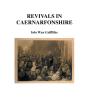 Revivals In Caernarfonshire - Preview